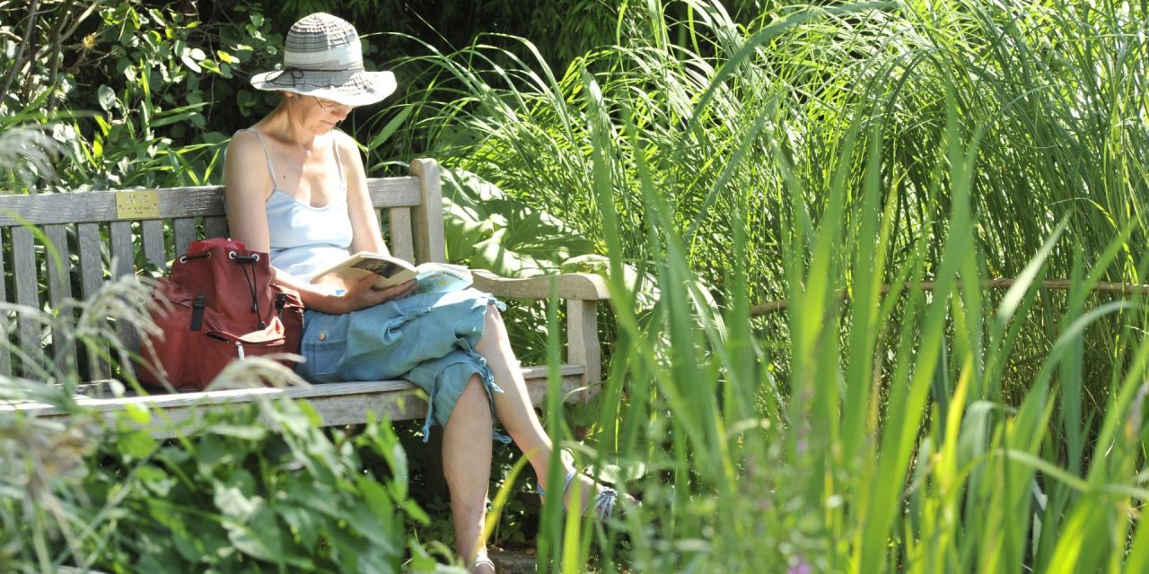 Een vrouw leest een tijdschrift tussen het groen op een tuinbank, warme zomerdag in Arboretum Kalmthout.