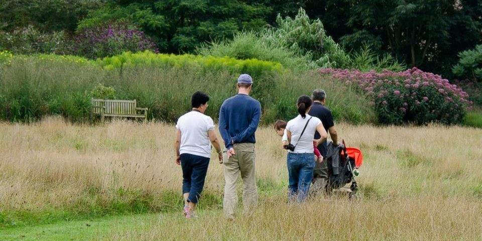 Bezoekers maken een familieuitstap naar Arboretum Kalmthout, ze wandelen door hoge graspaden en zomerse bloemenborders, een vrouw draagt een kind, een man duwt een kinderwagen.