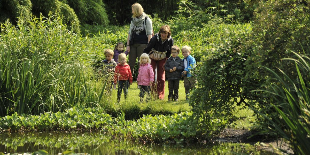 Park met vijver. In de achtergrond, aan de vijverrand, een klein klasje kleuters met hun juf en een gids. Ze kijken naar het water.