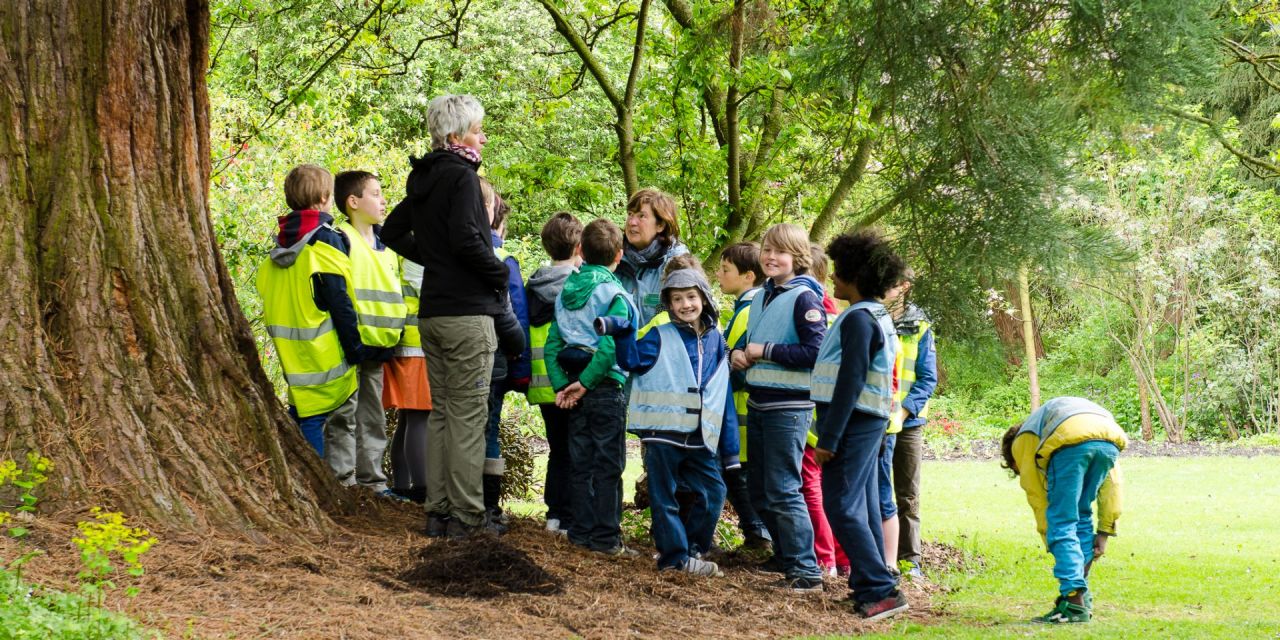 Aanbod Voor Scholen Arboretum Kalmthout