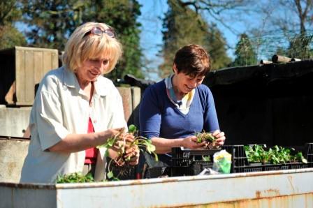 Vrijwilligsters Beatrice en Gerda verpotten planten staande aan de plantentafel. Ze glimlachen. Het is een zonnige dag.