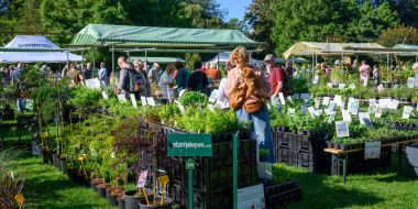 Homepage - Arboretum Kalmthout