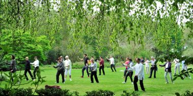 Groep deelnemers aan de cursus tai chi op het grote gazon tussen de groene borders van Arboretum Kalmthout