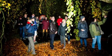 Een groep bezoekers staat met een gids onder een oude boom met afhangende takken, het is herfst en donker in Arboretum Kalmthout. De bezoekers lichten de takken bij met hun zaklampjes.