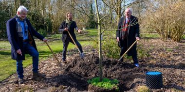 Drie mannen staan met een schop rond een jonge boom, aanplanting van een bijenboom in Arboretum Kalmthout.