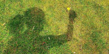 schaduwfoto van meisje dat paardenbloem vasthoudt