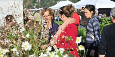 Enkele bezoekers aan een zonnige plantendag najaar in Arboretum Kalmthout, tussen de kraampjes en de bloemen van de verkoopstanden op een grote weide.