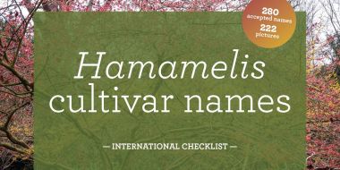 Benannte Kulturvarietäten: Hamamelis cultivar names checklist