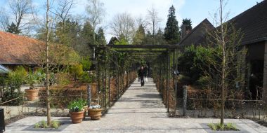 Zicht op de patio en inkom van Arboretum Kalmthout vanop de parking, zonnige lentedag, een bezoeker wandelt onder de pergola naar de uitgang.