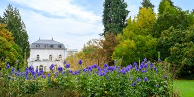 Périodes d'ouverture & prix d'entrée