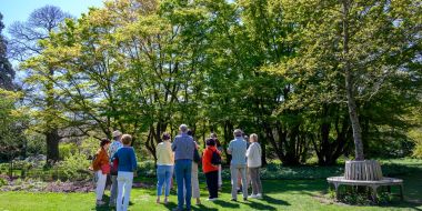 Visites guidées