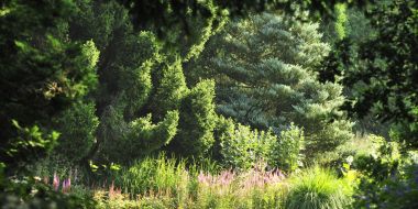 Arboretum Kalmthout, botanisch paradijs sinds 1856